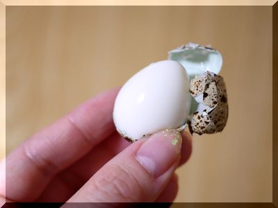 うずらの卵の茹で時間と簡単に殻をむく方法